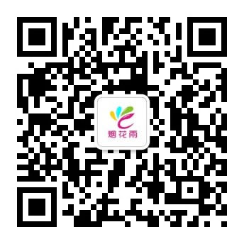 成功案例示例